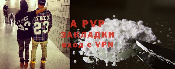 прущие грибы Бронницы