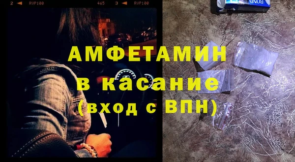 прущие грибы Бронницы