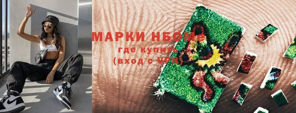 прущие грибы Бронницы