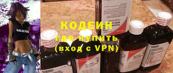 прущие грибы Бронницы