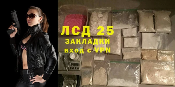 прущие грибы Бронницы