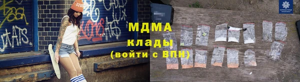 прущие грибы Бронницы