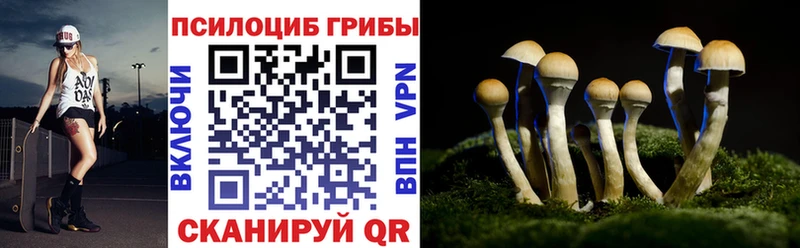 Купить закладки  Ижевск  Псилоцибиновые грибы мицелий 